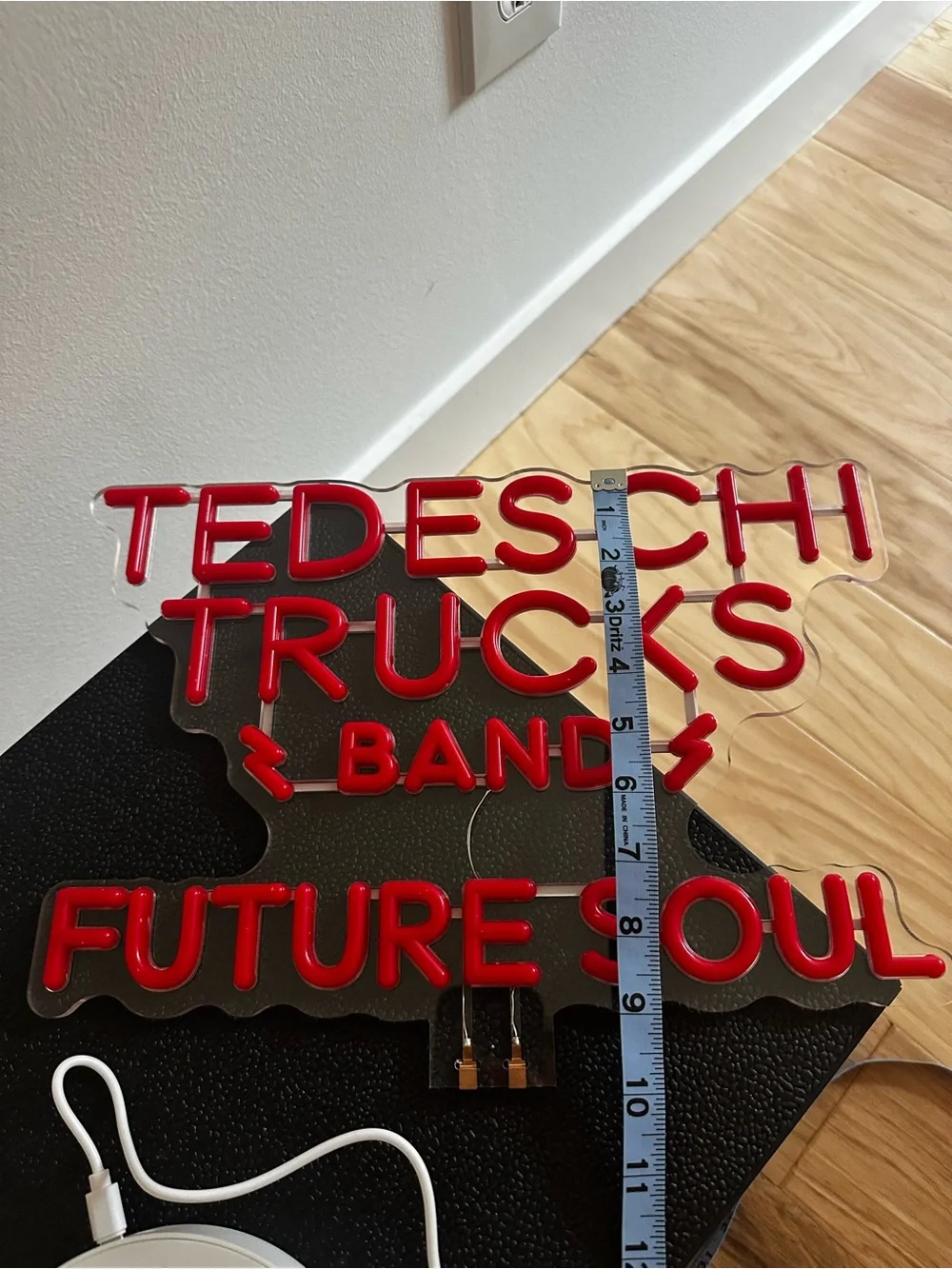 Red LED 'Tedeschi Trucks Band - Future Soul' Accent Light